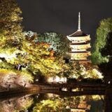 【京都】東寺のライトアップを見に行ってきた！感想ブログ