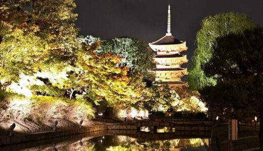 【京都】東寺のライトアップを見に行ってきた！感想ブログ