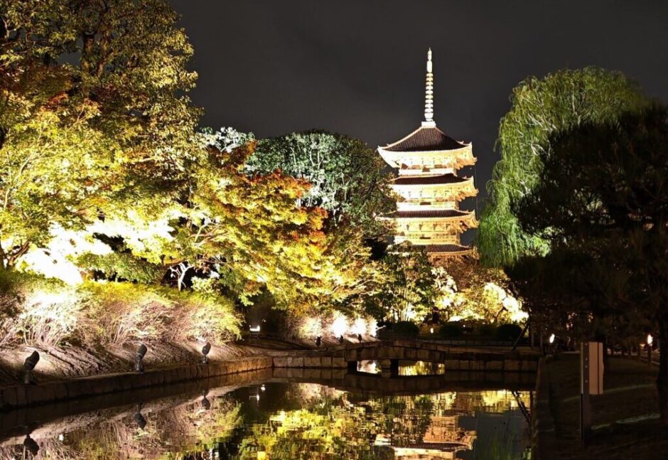 【京都】東寺のライトアップを見に行ってきた！感想ブログ