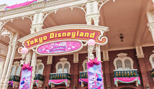 ディズニーランド子連れおすすめの回り方！3歳・6歳と楽しんだ1日プラン。