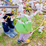 娘が幼稚園に入園しました！今後について、なんとなくの予定や思うこと