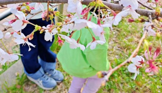 娘が幼稚園に入園しました！今後について、なんとなくの予定や思うこと