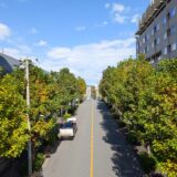 横浜は、坂が多い街。